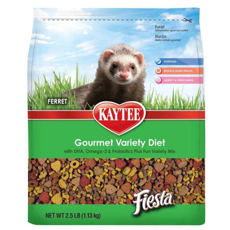 Best Ferret Food - Pet Territory