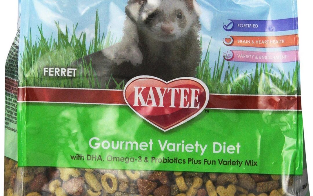 Healthiest hotsell ferret food