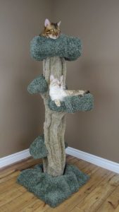 cat-tree