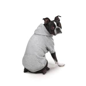 z-and-z-dog-hoodie