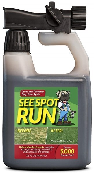see spot run lawn spray for dog urine