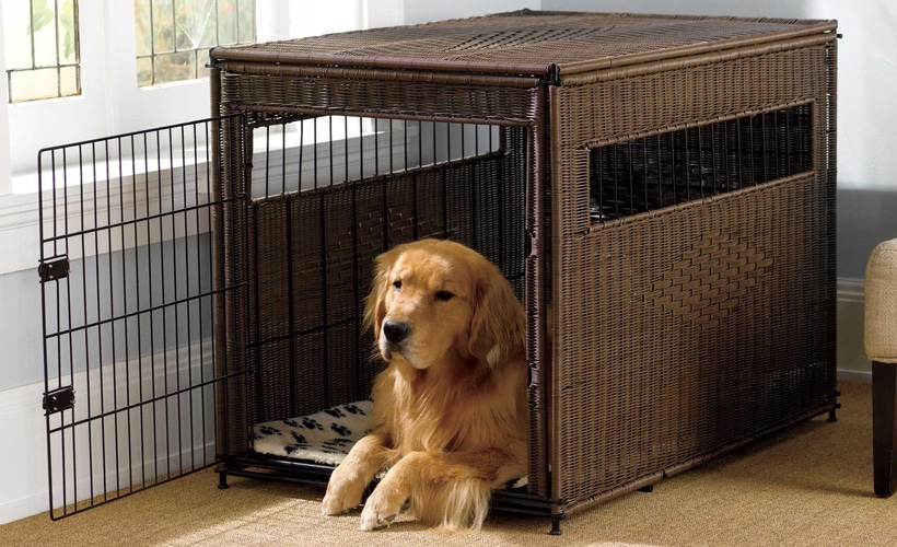 Best Indoor and Outdoor Dog Crates