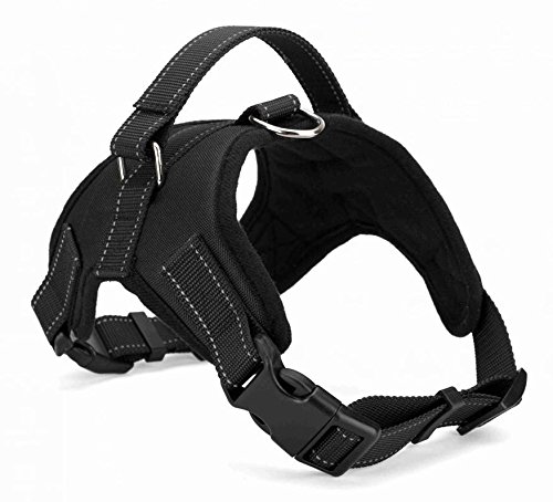 dog harness for new dog
