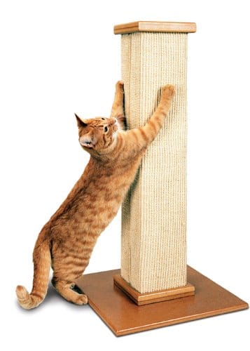 scratching post