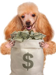 Puppies and Dogs cost money