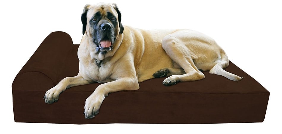 big barker orthopedic dog bed