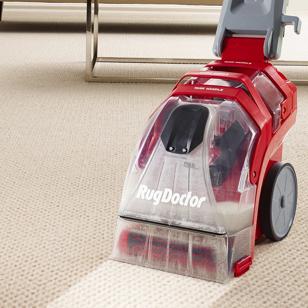 best carpet cleaner for pet stains