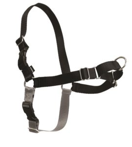 PetSafe Easy Walk Harness