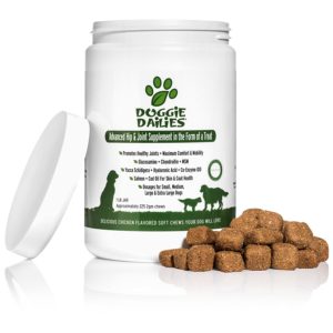 best senior dog vitamins