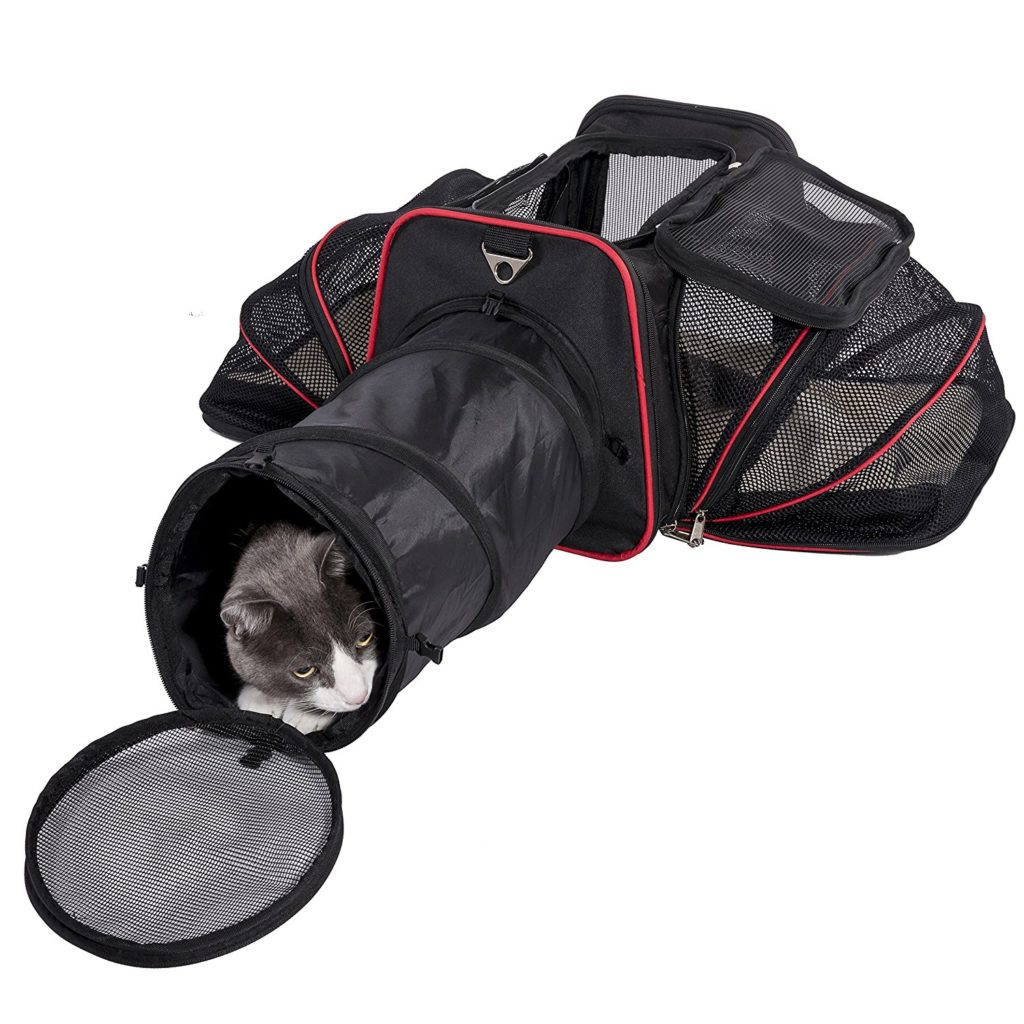best soft sided cat carrier