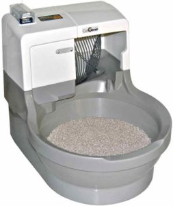 best cat litter box for odor control