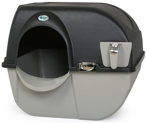 best litter box for two cats