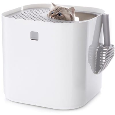 best rated cat litter box