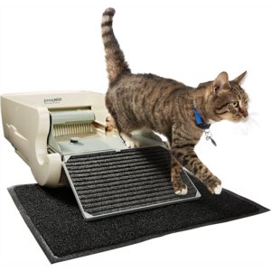 best self cleaning litter boxes