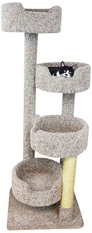 Best Cat Condo for Large Cats