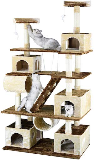 Best Cat Tree for Large Cats