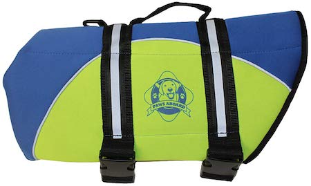 Best Life Jacket for Bulldogs