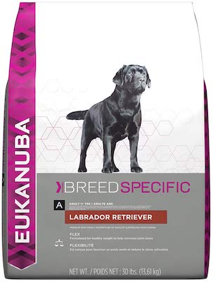 Best Dog Food for Labs
