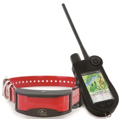 Best Dog GPS System