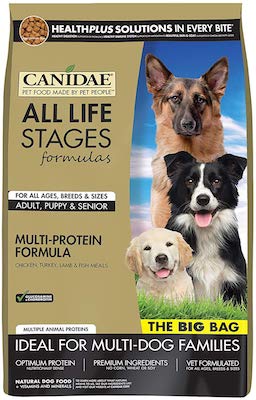 Canidae Life Stages