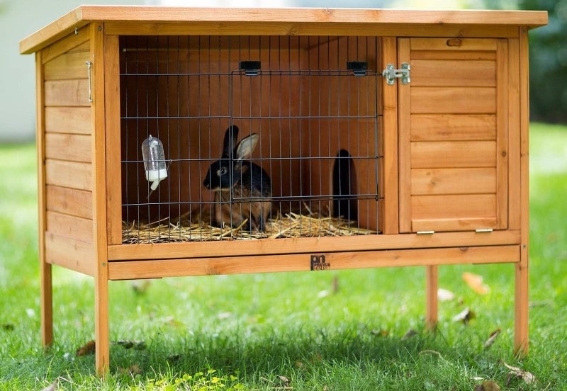 best outdoor rabbit hutch-min