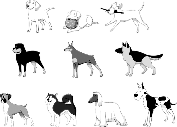 dog breeds