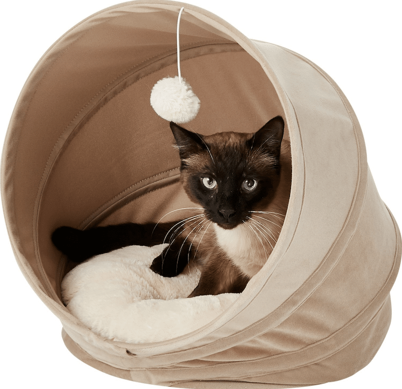 frisco pop up cat bed