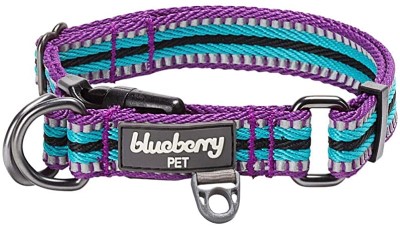 Blueberry Pet 3M Multi-Colored Stripe Polyester Reflective Dog Collar