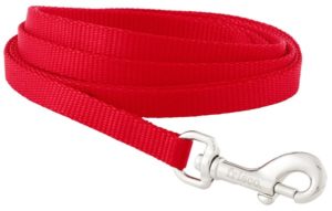 Frisco Solid Nylon Dog Leash