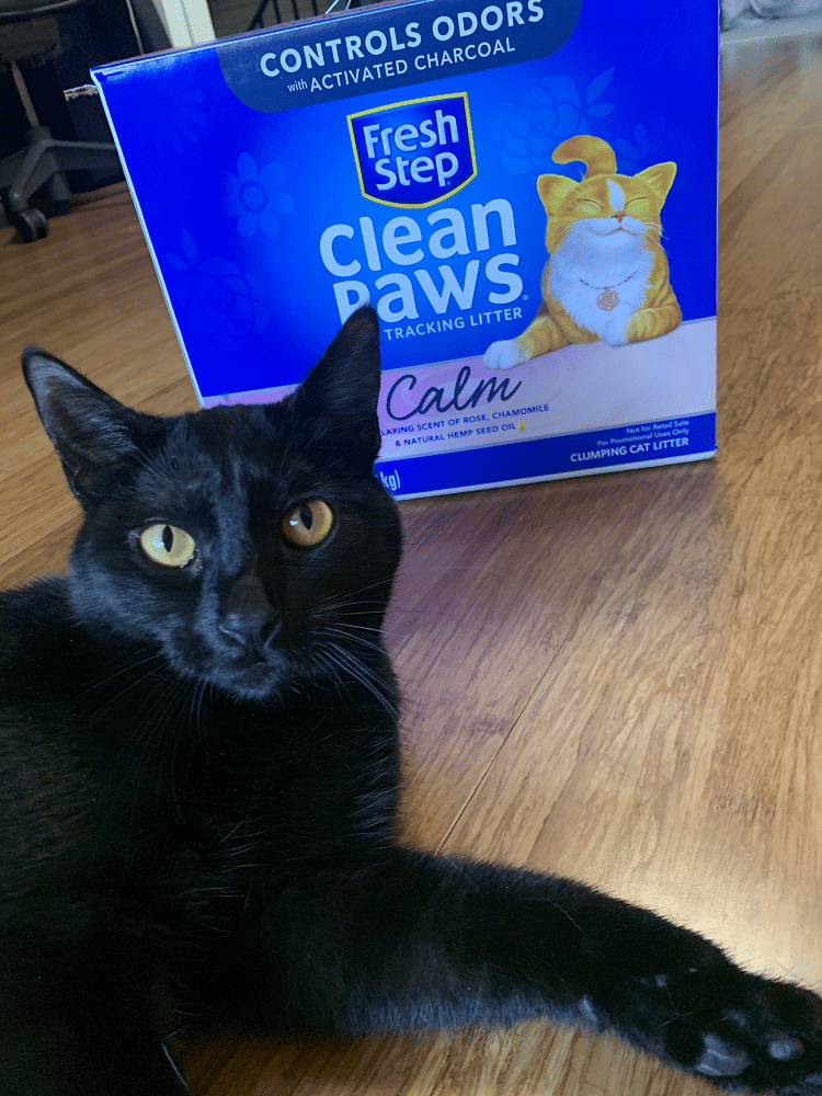 https://petterritory.com/wp-content/uploads/2021/06/fresh-step-clean-paws-review.png