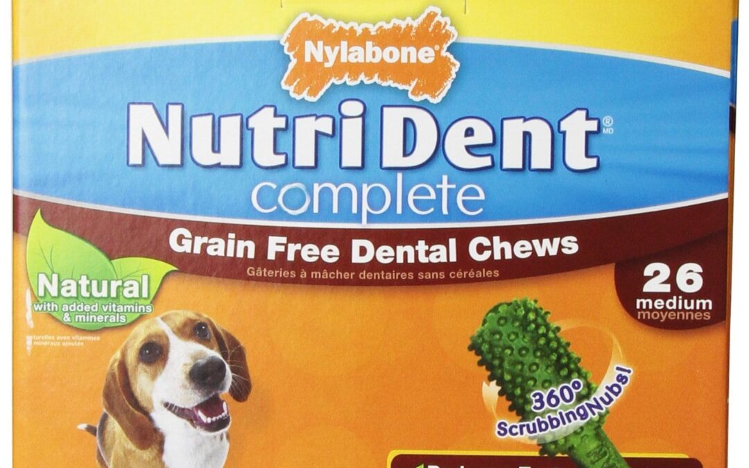 Nylabone Nutri Dent Complete Peanut Butter Flavored Dental Bone Grain ...
